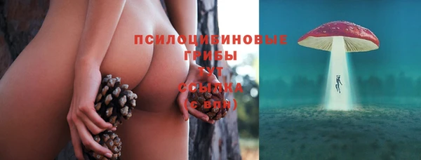 твердый Аркадак