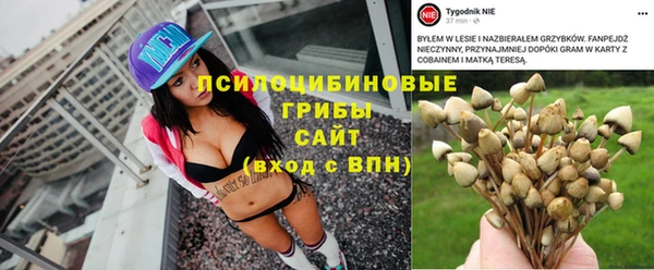 твердый Аркадак
