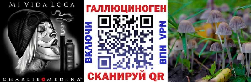 магазин продажи наркотиков  Ивангород  Псилоцибиновые грибы Magic Shrooms 